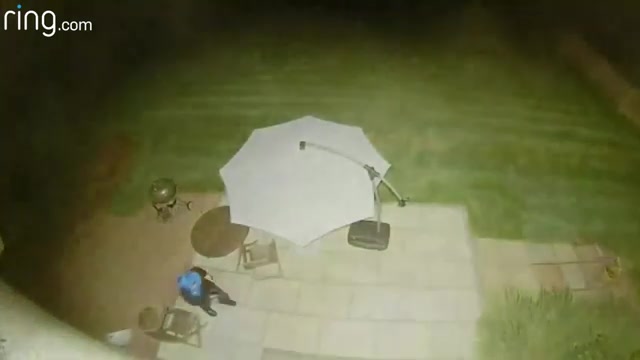 Nighttime porch theft attempt case